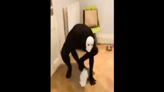 Random Videos Memes Compilation