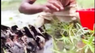 Gak disangka, Ternyata banyak isinya