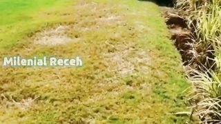 Video Random Fun