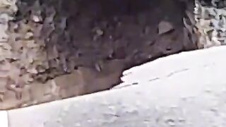 Orduda yol çöktü