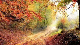 Motivation music - Recharge your energy in a few minutes with this special music