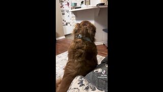 Funny TikToks That Are Stupid Funny _ TikTok Compilation
