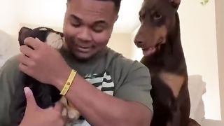 Funniest Animals Videos 2023 ???? Try Not To Laugh Funny Dogs And Cats 4