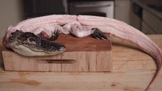 I Dry Aged a WHOLE Alligator to Make My Favorite Sandwich