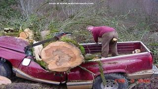 Dangerous Bad Fails Skills Cutting Tree - INCREDIBLE Idiots Tree Falling Machine Working #2