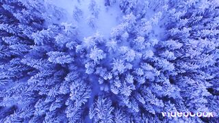 Magic winter