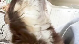 had to add in some old videos