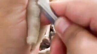 Processing of chicken feet