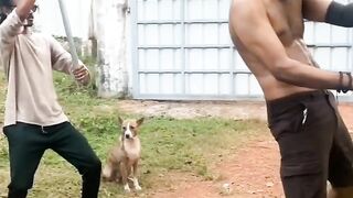 Themma themma trending video