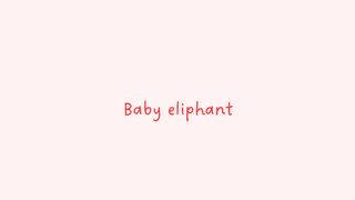 Baby eliphant