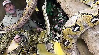Who is the most brave??