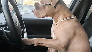 Max looking all cool…