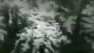 funny video 10