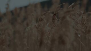 HAUSER - The Lonely Shepherd-(1080p)