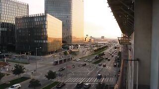 Wibmer's law fabio wibmer