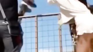 7 fois où les animaux nous ont fait exploser de rire