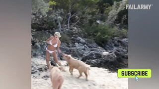 When Animals Go Crazy | Funny Animals Fails 2023