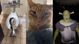 Funy tiktoks that make my monday better