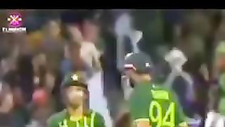 Cricket ???? 7