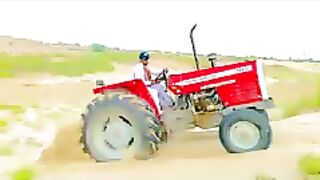 Kamal 385