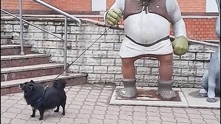 Stay till the end ????????????