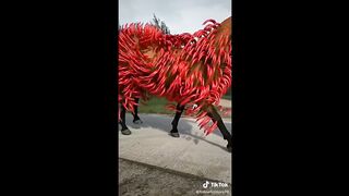Horse Side of Tiktok