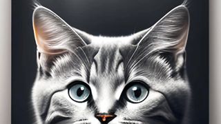 Cute Cats 5 2