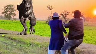 Dinosaur is coming just for fun