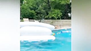Funny Video 141