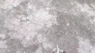 Funny cat - drama cat and mouse