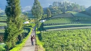 Alam Indonesia 5