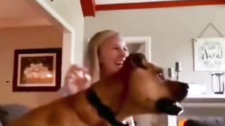 Baby dogs - cute dogs compilation 2022 #1