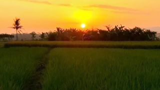 Alam Indonesia 6