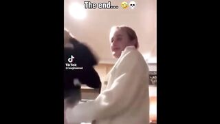 Funny cat compilation part 2