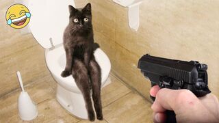 New Funny Cats And Dogs 2023 ???? Funniest Animals Videos