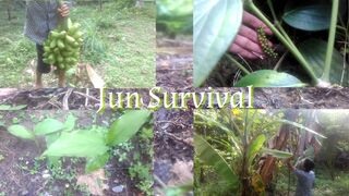 Every day I try to take care of the plants in the garden and repair my house