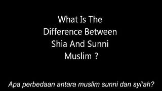 this person asked doctor zakir Naik about the differences between Sunni and Shia