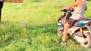 Elephant enjoy the boy