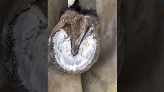 Satisfying ! WOW