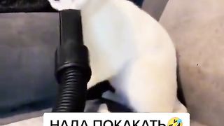Приколи 218
