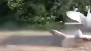 Приколи 223