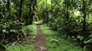 Healing power of nature sounds
