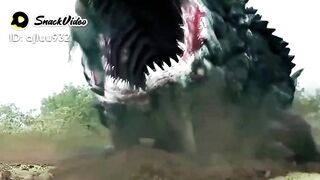 THE FIGHTER MINE FIGHT WITH FISH