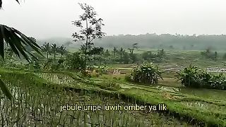 Uripee alam jawa