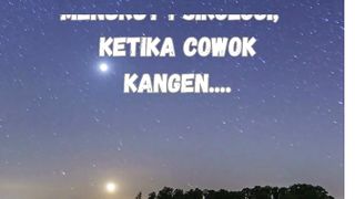 Fakta Cowok 3