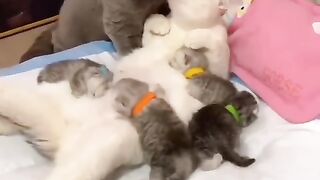 La famille