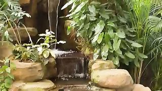 kolam ikan