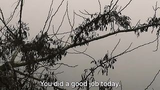 GOOD JOB TODAY