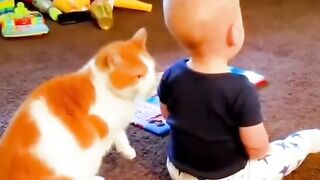 Baby and cat 3