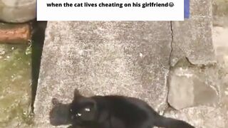 adorable behavior